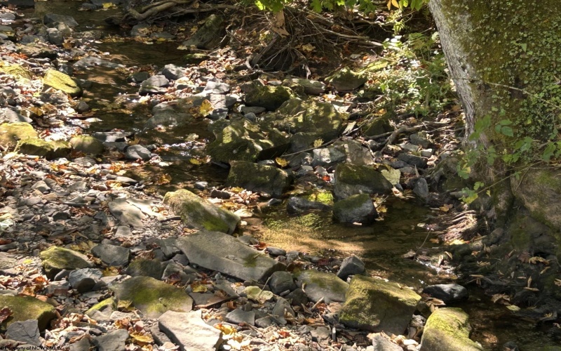 Lot 4 Possum Hollow Road, Terra Alta, West Virginia 26764, ,Lots/land,For Sale,Possum Hollow,10161684