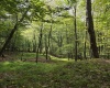 TBD Samaria Road, Fairmont, West Virginia 26554, ,Lots/land,For Sale,Samaria,10161747
