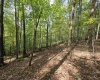 TBD Samaria Road, Fairmont, West Virginia 26554, ,Lots/land,For Sale,Samaria,10161747