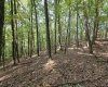 TBD Samaria Road, Fairmont, West Virginia 26554, ,Lots/land,For Sale,Samaria,10161747