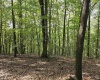 TBD Samaria Road, Fairmont, West Virginia 26554, ,Lots/land,For Sale,Samaria,10161747