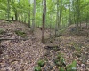 TBD Samaria Road, Fairmont, West Virginia 26554, ,Lots/land,For Sale,Samaria,10161747
