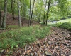 TBD Samaria Road, Fairmont, West Virginia 26554, ,Lots/land,For Sale,Samaria,10161747