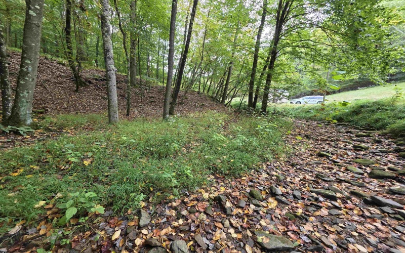 TBD Samaria Road, Fairmont, West Virginia 26554, ,Lots/land,For Sale,Samaria,10161747