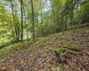 TBD Samaria Road, Fairmont, West Virginia 26554, ,Lots/land,For Sale,Samaria,10161747