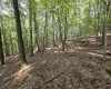 TBD Samaria Road, Fairmont, West Virginia 26554, ,Lots/land,For Sale,Samaria,10161747