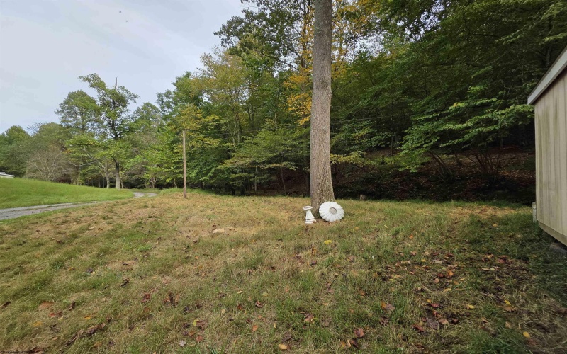TBD Samaria Road, Fairmont, West Virginia 26554, ,Lots/land,For Sale,Samaria,10161747