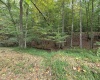 TBD Samaria Road, Fairmont, West Virginia 26554, ,Lots/land,For Sale,Samaria,10161747