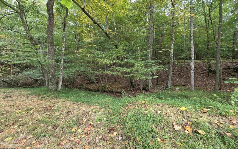 TBD Samaria Road, Fairmont, West Virginia 26554, ,Lots/land,For Sale,Samaria,10161747