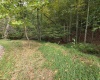 TBD Samaria Road, Fairmont, West Virginia 26554, ,Lots/land,For Sale,Samaria,10161747