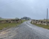 0 Briar Ridge Lane, Ellamore, West Virginia 26267, ,Lots/land,For Sale,Briar Ridge,10161735