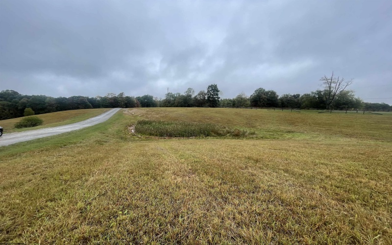 0 Briar Ridge Lane, Ellamore, West Virginia 26267, ,Lots/land,For Sale,Briar Ridge,10161735