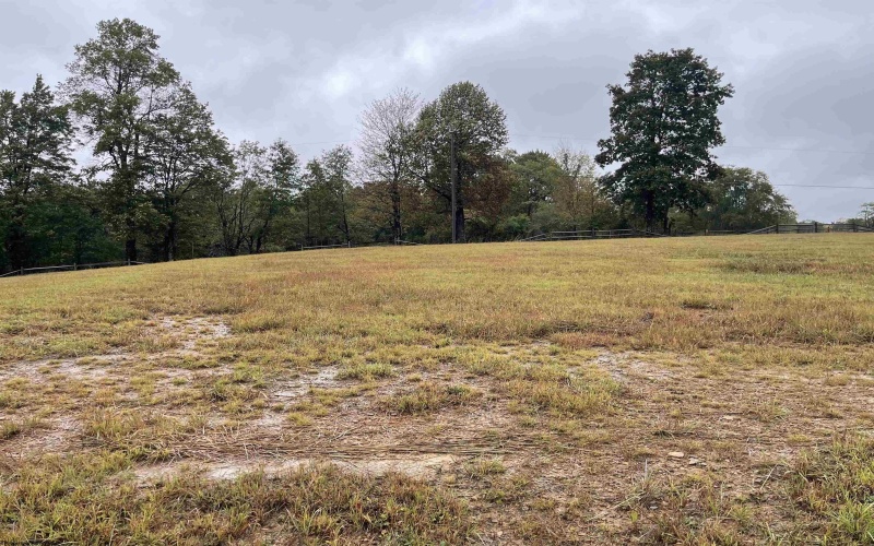 0 Briar Ridge Lane, Ellamore, West Virginia 26267, ,Lots/land,For Sale,Briar Ridge,10161735