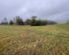 TBD Briar Ridge Lane, Ellamore, West Virginia 26267, ,Lots/land,For Sale,Briar Ridge,10161732