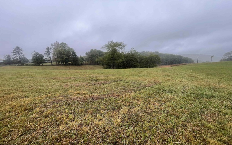 TBD Briar Ridge Lane, Ellamore, West Virginia 26267, ,Lots/land,For Sale,Briar Ridge,10161732