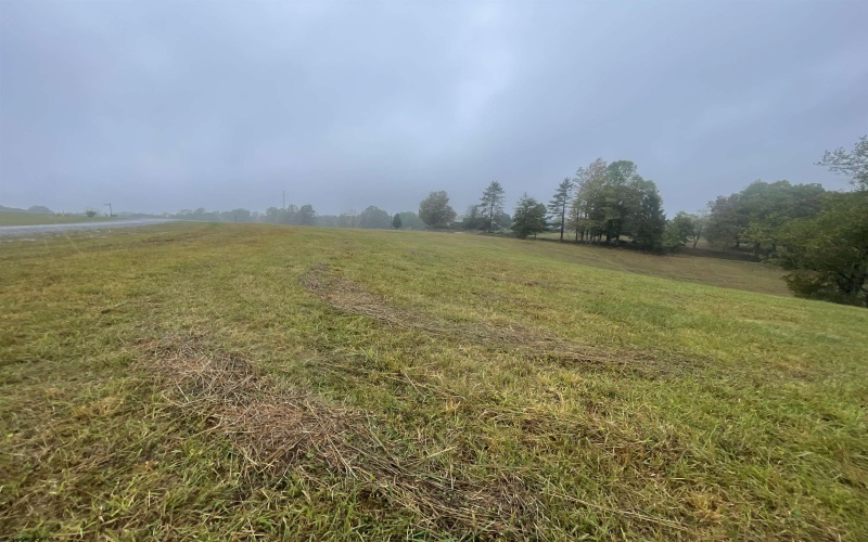 TBD Briar Ridge Lane, Ellamore, West Virginia 26267, ,Lots/land,For Sale,Briar Ridge,10161732