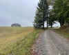 TBD Briar Ridge Lane, Ellamore, West Virginia 26267, ,Lots/land,For Sale,Briar Ridge,10161732