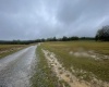 000 Briar Ridge Lane, Ellamore, West Virginia 26267, ,Lots/land,For Sale,Briar Ridge,10161741