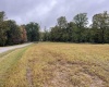 000 Briar Ridge Lane, Ellamore, West Virginia 26267, ,Lots/land,For Sale,Briar Ridge,10161741