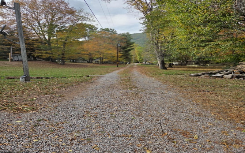 225 Fork Road, Dryfork, West Virginia 26263, 1 Bedroom Bedrooms, 3 Rooms Rooms,Single Family Detached,For Sale,Fork,10161730