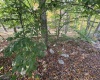 225 Fork Road, Dryfork, West Virginia 26263, 1 Bedroom Bedrooms, 3 Rooms Rooms,Single Family Detached,For Sale,Fork,10161730