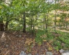225 Fork Road, Dryfork, West Virginia 26263, 1 Bedroom Bedrooms, 3 Rooms Rooms,Single Family Detached,For Sale,Fork,10161730