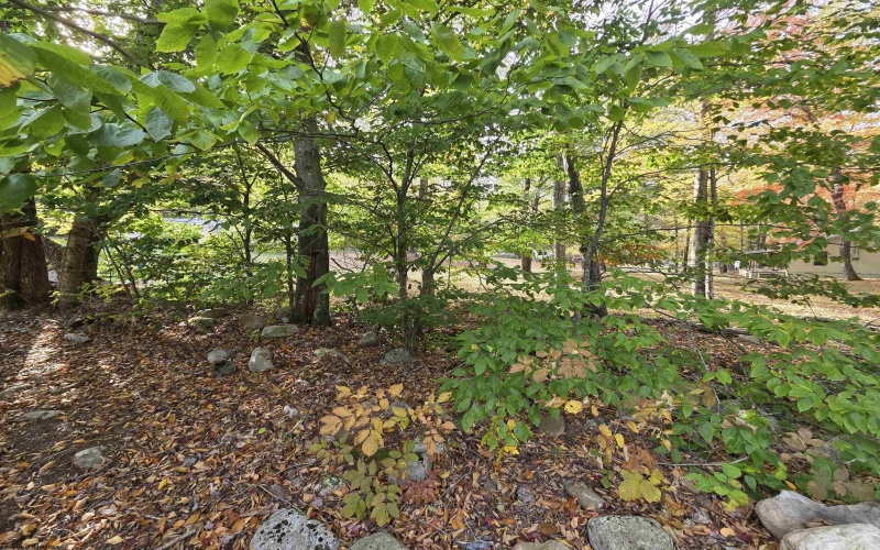 225 Fork Road, Dryfork, West Virginia 26263, 1 Bedroom Bedrooms, 3 Rooms Rooms,Single Family Detached,For Sale,Fork,10161730