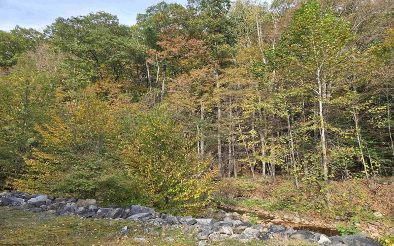 225 Fork Road, Dryfork, West Virginia 26263, 1 Bedroom Bedrooms, 3 Rooms Rooms,Single Family Detached,For Sale,Fork,10161730