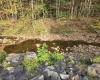 225 Fork Road, Dryfork, West Virginia 26263, 1 Bedroom Bedrooms, 3 Rooms Rooms,Single Family Detached,For Sale,Fork,10161730
