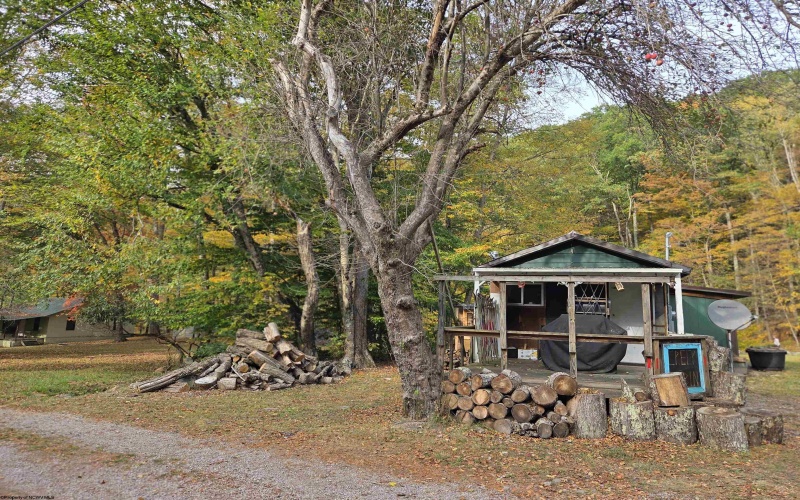 225 Fork Road, Dryfork, West Virginia 26263, 1 Bedroom Bedrooms, 3 Rooms Rooms,Single Family Detached,For Sale,Fork,10161730