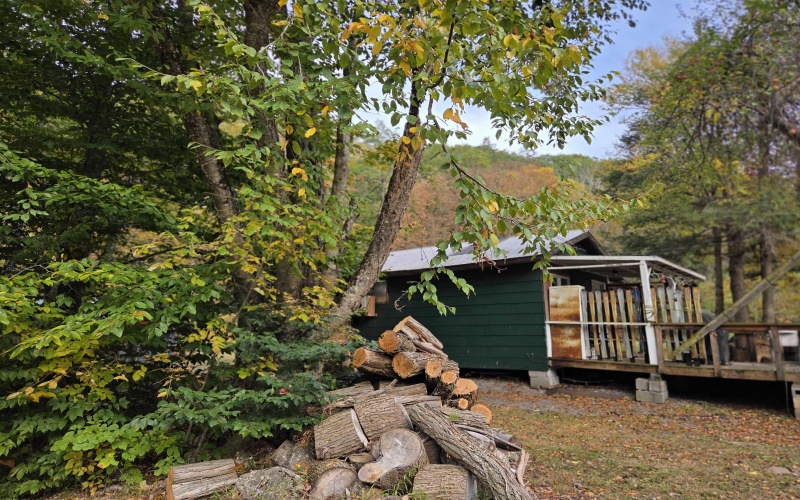 225 Fork Road, Dryfork, West Virginia 26263, 1 Bedroom Bedrooms, 3 Rooms Rooms,Single Family Detached,For Sale,Fork,10161730