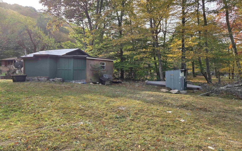 225 Fork Road, Dryfork, West Virginia 26263, 1 Bedroom Bedrooms, 3 Rooms Rooms,Single Family Detached,For Sale,Fork,10161730