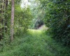 8859 George Washington Highway, Tunnelton, West Virginia 26444, ,Lots/land,For Sale,George Washington,10161762