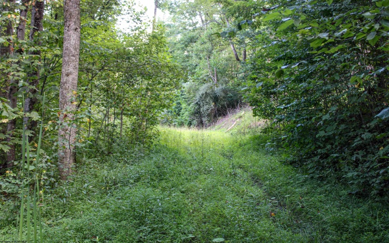 8859 George Washington Highway, Tunnelton, West Virginia 26444, ,Lots/land,For Sale,George Washington,10161762