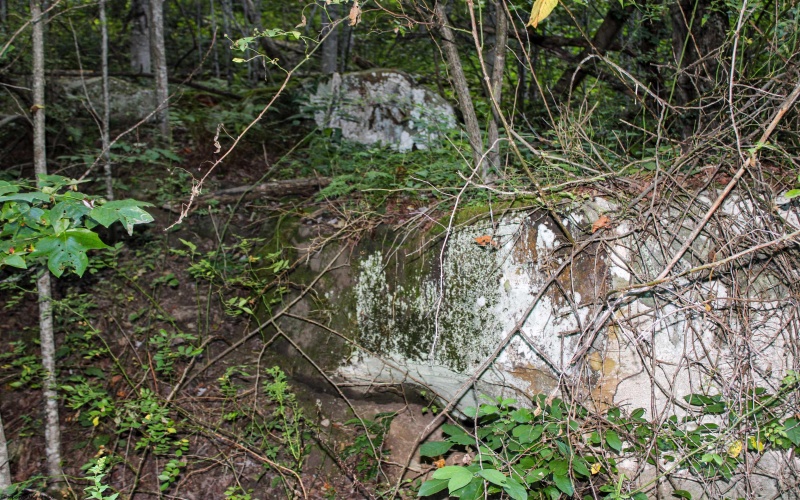 8859 George Washington Highway, Tunnelton, West Virginia 26444, ,Lots/land,For Sale,George Washington,10161762
