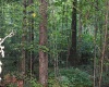 8859 George Washington Highway, Tunnelton, West Virginia 26444, ,Lots/land,For Sale,George Washington,10161762