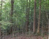 8859 George Washington Highway, Tunnelton, West Virginia 26444, ,Lots/land,For Sale,George Washington,10161762