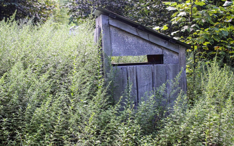 8859 George Washington Highway, Tunnelton, West Virginia 26444, ,Lots/land,For Sale,George Washington,10161762