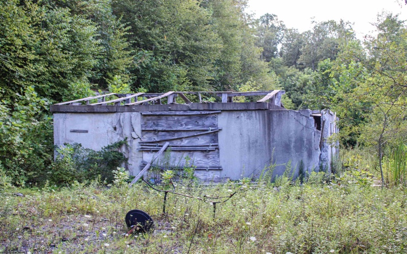8859 George Washington Highway, Tunnelton, West Virginia 26444, ,Lots/land,For Sale,George Washington,10161762