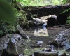8859 George Washington Highway, Tunnelton, West Virginia 26444, ,Lots/land,For Sale,George Washington,10161762