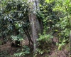 8859 George Washington Highway, Tunnelton, West Virginia 26444, ,Lots/land,For Sale,George Washington,10161762
