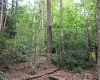 8859 George Washington Highway, Tunnelton, West Virginia 26444, ,Lots/land,For Sale,George Washington,10161762
