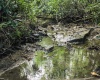 8859 George Washington Highway, Tunnelton, West Virginia 26444, ,Lots/land,For Sale,George Washington,10161762