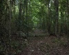 8859 George Washington Highway, Tunnelton, West Virginia 26444, ,Lots/land,For Sale,George Washington,10161762