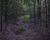 8859 George Washington Highway, Tunnelton, West Virginia 26444, ,Lots/land,For Sale,George Washington,10161762