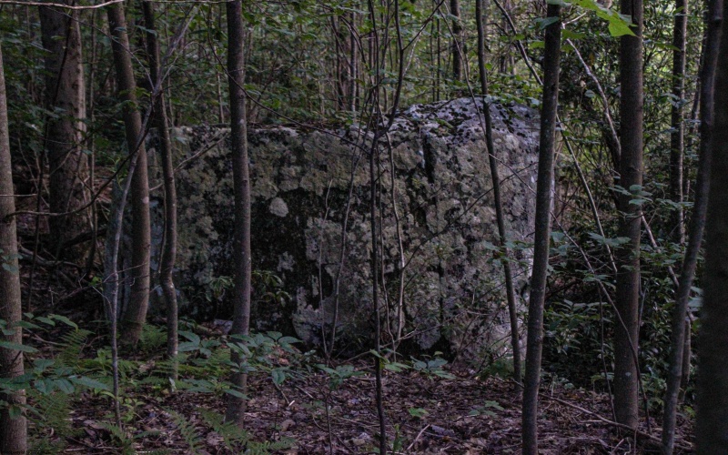 8859 George Washington Highway, Tunnelton, West Virginia 26444, ,Lots/land,For Sale,George Washington,10161762