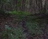 8859 George Washington Highway, Tunnelton, West Virginia 26444, ,Lots/land,For Sale,George Washington,10161762