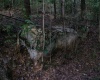 8859 George Washington Highway, Tunnelton, West Virginia 26444, ,Lots/land,For Sale,George Washington,10161762