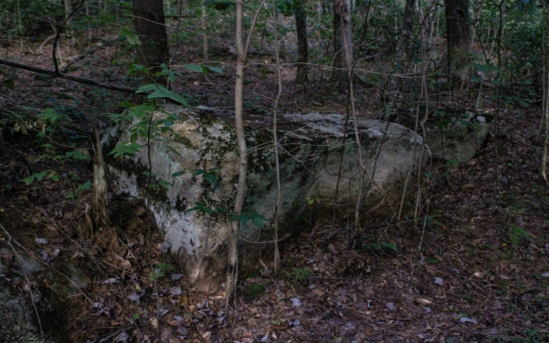 8859 George Washington Highway, Tunnelton, West Virginia 26444, ,Lots/land,For Sale,George Washington,10161762