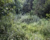 8859 George Washington Highway, Tunnelton, West Virginia 26444, ,Lots/land,For Sale,George Washington,10161762